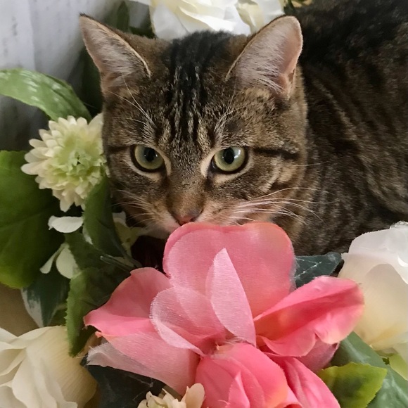 Meet your Posher, Karina - Picture 1 of 1